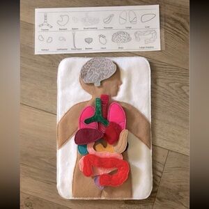 Educational tool- Human Body Anatomy